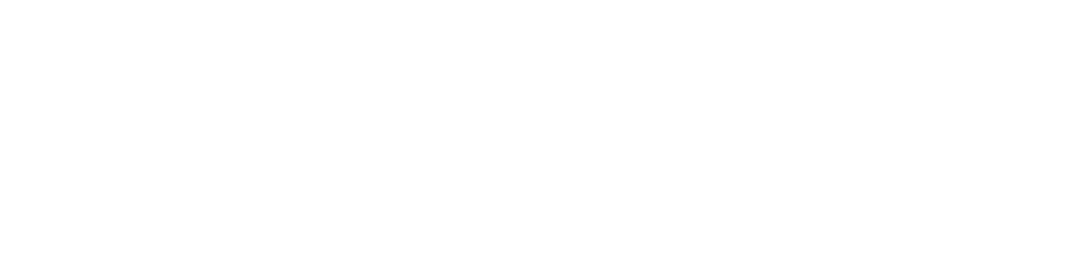 Logo AFYS
